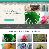 Plantflix | Indoor Gardening | Houseplant Seeds | Seed Kits