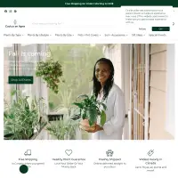 Buy cactus, succulents, hoyas, tropicals, tillandsias online in Canada — Cactus en Ligne
